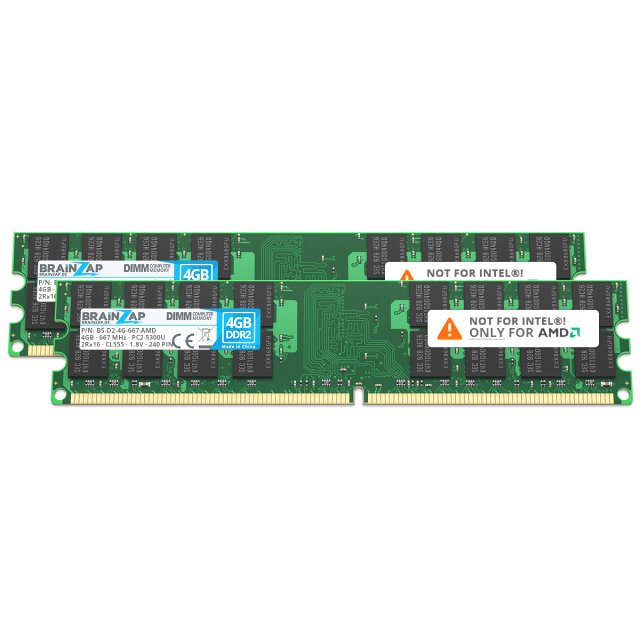 BRAINZAP 8GB DDR2 RAM DIMM PC2-5300U 2Rx16 800 MHz 1.8V CL5 AMD PC Arbeitsspeicher (2x 4GB)