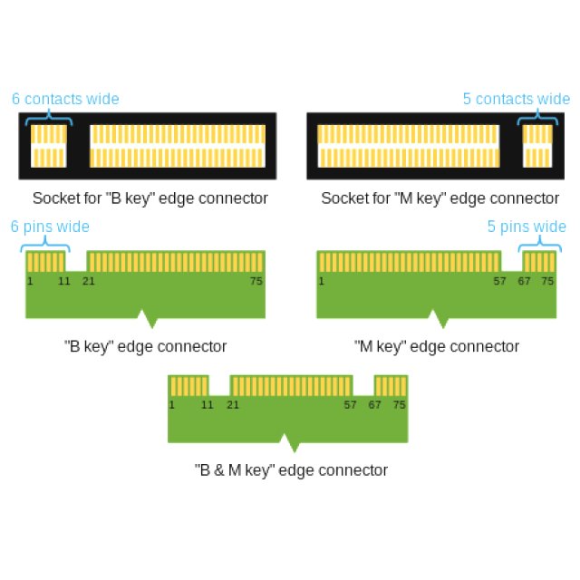 BRAINZAP M.2 M2 NVMe SSD zu PCI-E PCI-Express PCIe 3.0 x1 Adapter Konverter Karte M Key